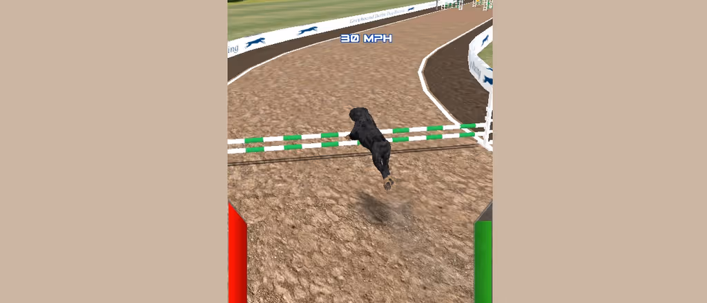Dog Racing Simulator logo