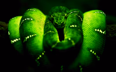 Green Snake logo